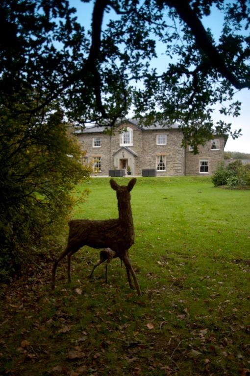 Ty Mawr Mansion Hotel Lampeter Exterior foto